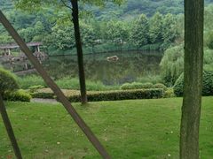 -重庆医科大学附属第一医院(金山院区)