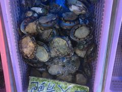 -蛇口市场