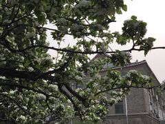 -山东师范大学(千佛山校区)