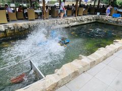 -京北渔家傲