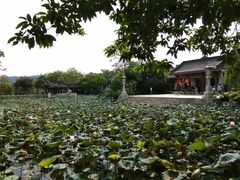 -惠州西湖丰渚园
