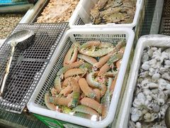 -先锋海鲜市场