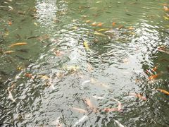 -珠海圆明新园
