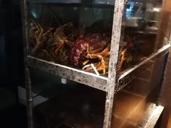 -甄御•海鲜新青岛菜(麦岛店)