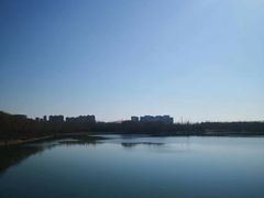 -大兴滨河森林公园