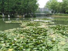 -白塘生态植物园