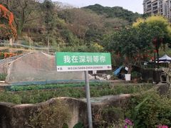 -青青世界