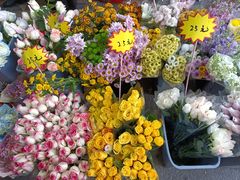 -循礼门鲜花花市(武汉循礼门店)