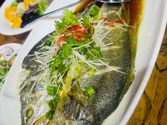 -山海菜馆·海肠捞饭·青岛菜(栈桥店)