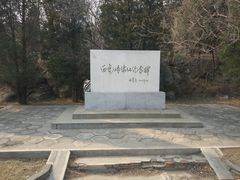 -白水寺森林公园