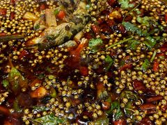 -高坎一品甲鱼庄(两河店)