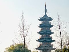 -龙华素斋(龙华路店)