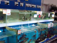 -沃尔玛超市(武侯店)