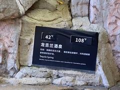 -海口观澜湖火山温泉谷