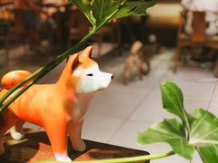 -柴务处·柴犬主题狗咖