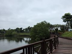 -万绿园