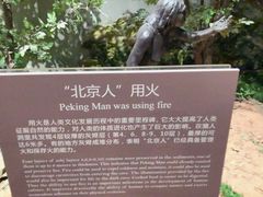 -北京周口店北京人遗址博物馆