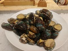 冰鲜鲍鱼-海航大厦万豪酒店彩海轩中餐厅(霄云路店)