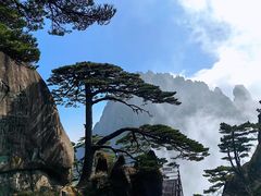 -黄山风景区