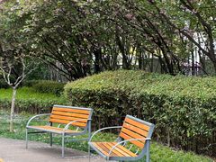 -城市运动公园(未央区)
