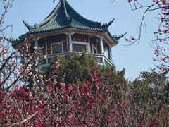 -无锡梅园公园