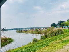 -三圣花乡旅游区