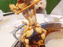 -蛙两只美蛙鱼头火锅(恒茂店)
