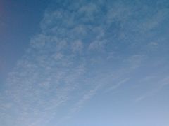 初夏-唐城墙遗址公园