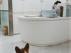 -达爱动物医院·犬猫分区·CT·复杂眼科(远洋山水分院)