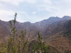 -秦岭风景区