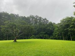 -深圳仙湖植物园