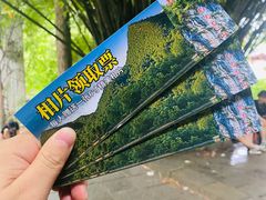 -黔灵山公园
