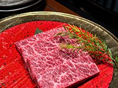 霜降和牛小排-隐炉和牛烧肉店(群力店)