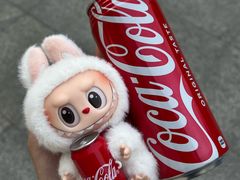 -泡泡玛特POPMART(赛格国际购物中心店)