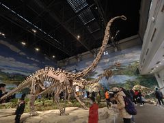-自贡恐龙博物馆