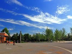 -大兴滨河森林公园