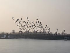 -南大港湿地风景区