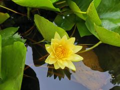 -洛阳市隋唐城遗址植物园