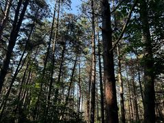 -帽儿山国家森林公园