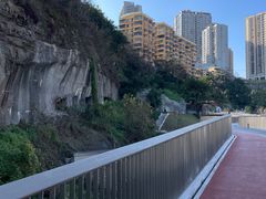 -大渡口区义渡公园