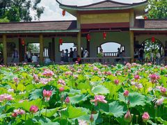 -广州莲花山旅游区