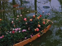 -人民公园(罗湖区)