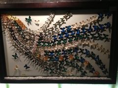 iphone_upload_pic-西安世博园