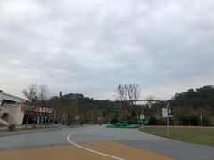 -飞凤山奥体公园