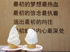 -野人先生现做冰淇淋(北京环宇荟店)