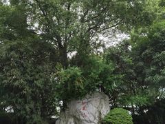 -金鸡湖桃花岛