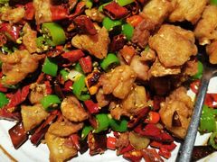 鲜椒辣子鸡-青年公社烤鸭(青年路店)