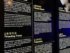 -上海海洋水族馆