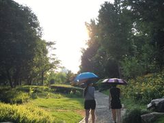 店外环境-日出青木·杭帮菜名店