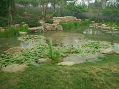 -秀丽东方